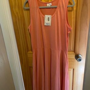 LulaRoe Nicki dress